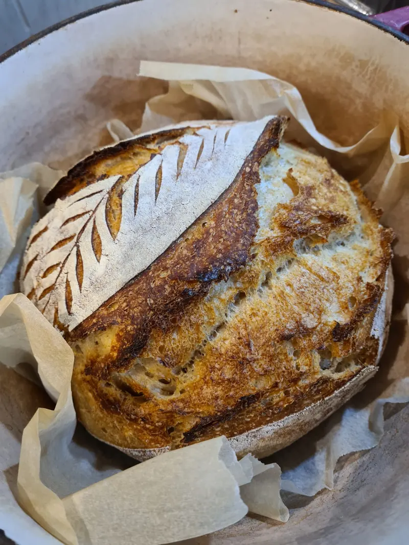 A round sourdough loaf with a wheat-leaf pattern scored into its floured crust, in a lined cast-iron pot